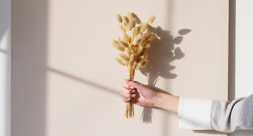 Influence performance